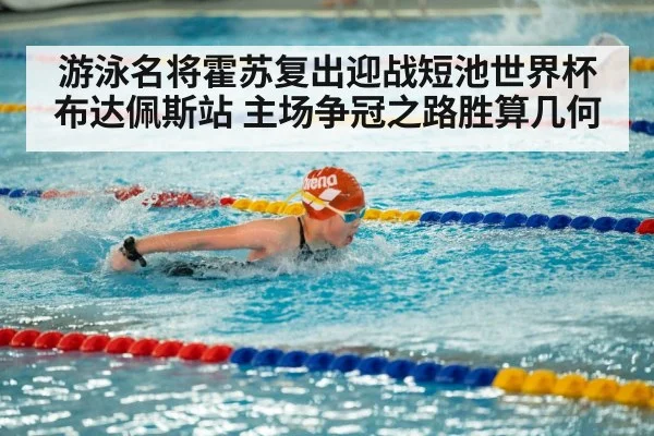 游泳名将霍苏复出迎战短池世界杯布达佩斯站 主场争冠之路胜算几何